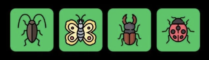 FLIES Daily Combo 24 June 2025